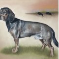 Image client Crayon de couleur Polychromos - 103 Ivoire