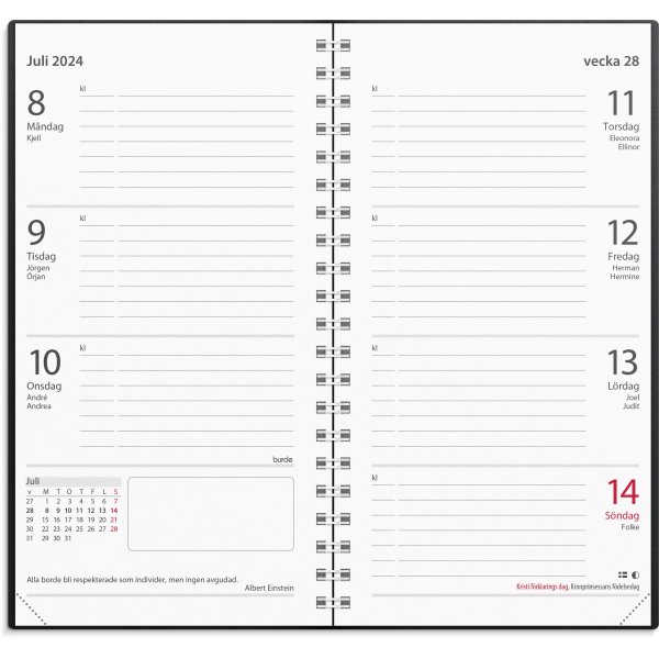 Calendrier 24/25 - Grande Anne d'Etude - Basic plastique noir