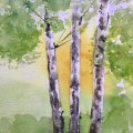 Image client Peinture aquarelle W&N Cotman Demi-tasse - 109 Teinte jaune de cadmium