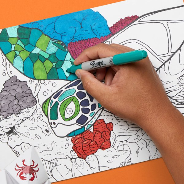 Ensemble de stylos fibre Sharpie - Marché Permanent - Couleurs assorties - Fin