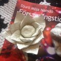 Image client Plastique céramique - blanc 500 g séchage à l'air