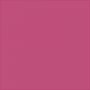 Coloration Plus Color Hobby - fuchsia - 60 ml