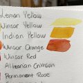 Image client Peinture aquarelle W&N Professional Demi-tasse - 319 Jaune indien