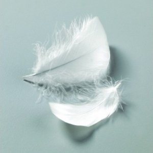 Plumes décoratives 50-100 mm - 10 g/110 pcs Plumes décoratives 50-100 mm - 10 g/110 pcs