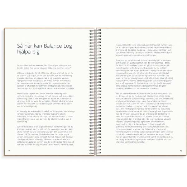 Journal de solde Journal de solde