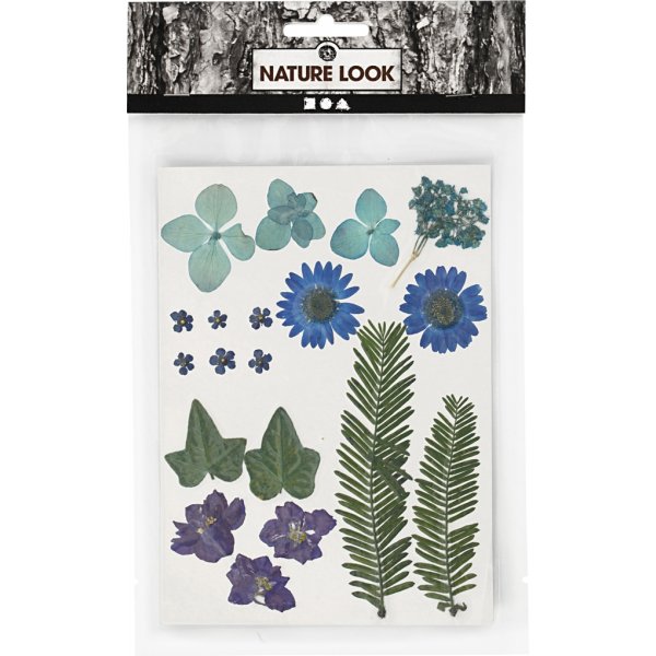 Fleurs et feuilles sches - bleu