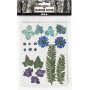 Fleurs et feuilles sches - bleu