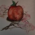 Image client Peinture aquarelle W&N Cotman - Coffret Sketcher's 12 couleurs