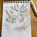 Image client Crayon Faber-Castell 9000 - 2H