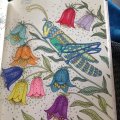 Image client Taille-crayon avec récipient - Double trou