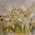Image client Peinture aquarelle W&N Professional Tube 5ml - 294 Or vert