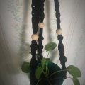 Image client Boules en bois 50 pcs 30 mm