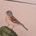 Image client Crayon aquarelle Albrecht D�rer - 273 Warm Grey IV