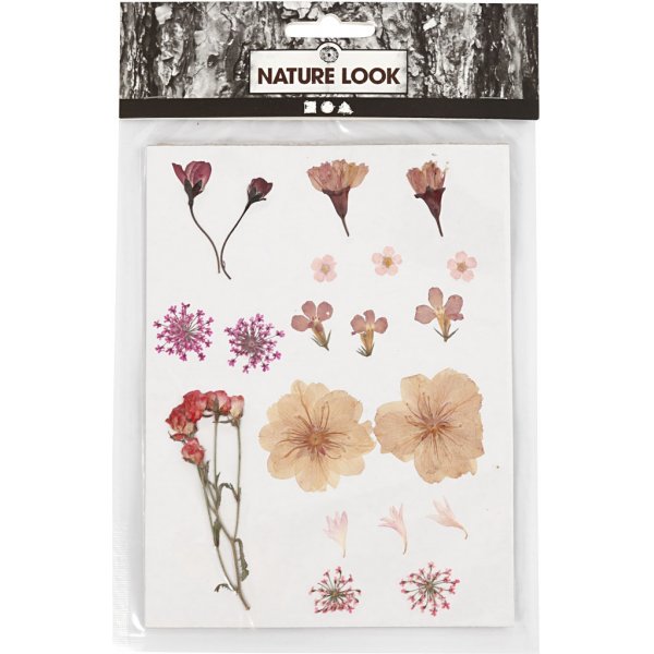 Fleurs et feuilles sches - rose clair