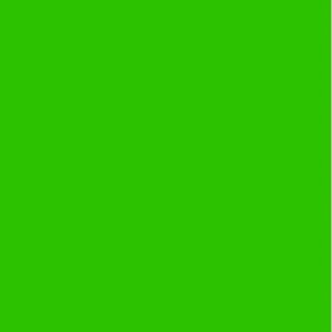 Feuille de couleur Color-Dekor 180 °C 100 x 200 mm - vert 2 pcs Feuille de couleur Color-Dekor 180 °C 100 x 200 mm - vert 2 pcs