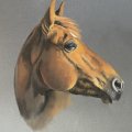 Image client Pastel Cretacolor F/A - Blanc de Zinc (102)