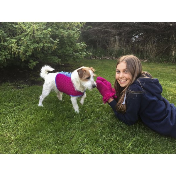 Patron au crochet - Couverture et mitaines pour chien au crochet