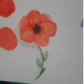 Image client Set aquarelle Sense - 12 couleurs