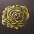 Image client Crayons de couleur Polychromos - 36 Crayons