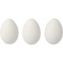 Oeufs en plastique - Blanc - 12 pcs
