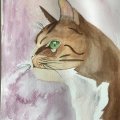 Image client Peinture aquarelle W&N Cotman Demi-tasse - 074 Terre de Sienne br�l�e