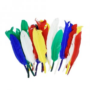 Plumes indiennes 12 - 15 cm - plusieurs couleurs mélangées paquet de 20 Plumes indiennes 12 - 15 cm - plusieurs couleurs mélangées paquet de 20