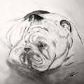 Image client Encre de calligraphie W&N 30ml - Encre White Dip