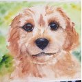 Image client Bloc Aquarelle Coll� Rough Grove Arches 300g - A4