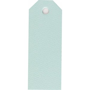 Etiquettes Manille - bleu clair - 20 pcs Etiquettes Manille - bleu clair - 20 pcs