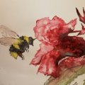 Image client Bloc Aquarelle Coll� Rough Grove Arches 300g - A3
