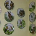 Image client Support pour assiettes n°2, 19-28 cm