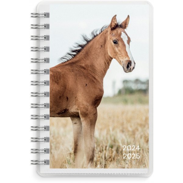 Calendrier 24/25 Compact - Animaux Calendrier 24/25 Compact - Animaux