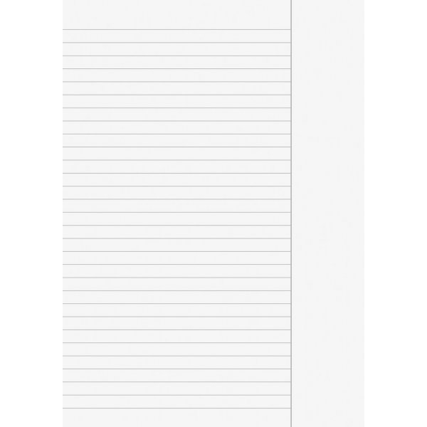 Pages volantes - doubles pages plies A3 (A4) - lignes (type 25)
