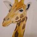 Image client