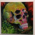 Image client Fernissa Blank Liquitex 237 ml