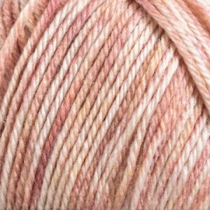 Sox 150g - Mélange de coquillages Sox 150g - Mélange de coquillages