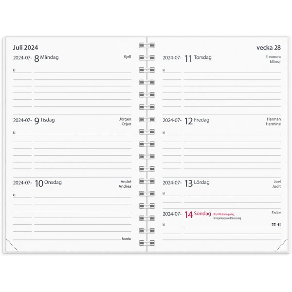 Calendrier 24/25 - Petite Anne d'Etude - Fashion Line