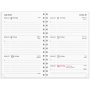 Calendrier 24/25 - Petite Anne d'Etude - Fashion Line