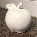Image client Pâte à modeler Reliefco 250 - blanc 1 kg