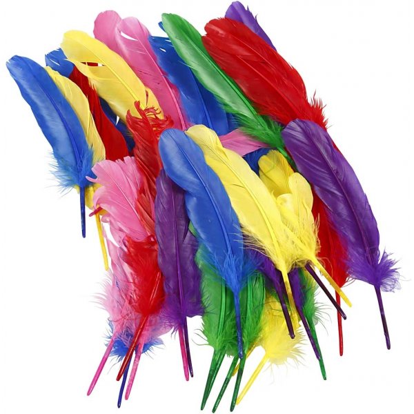 Plumes - couleurs mlanges - 36 pcs