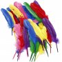 Plumes - couleurs mlanges - 36 pcs