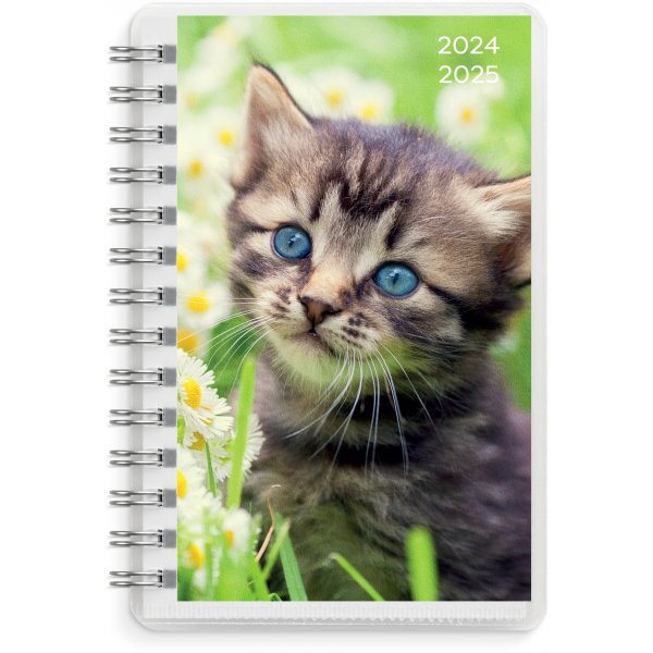 Calendrier 24/25 Compact - Animaux Calendrier 24/25 Compact - Animaux