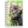 Calendrier 24/25 Compact - Animaux