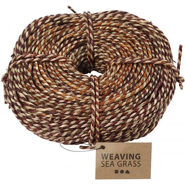 Algues - brunes - 500 g