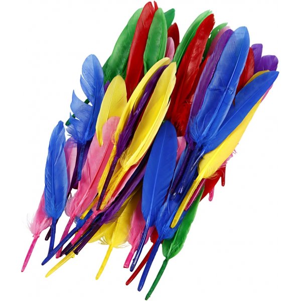 Plumes - couleurs mlanges - 48 pcs