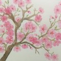Image client Bloc aquarelle Sense 200g - A5