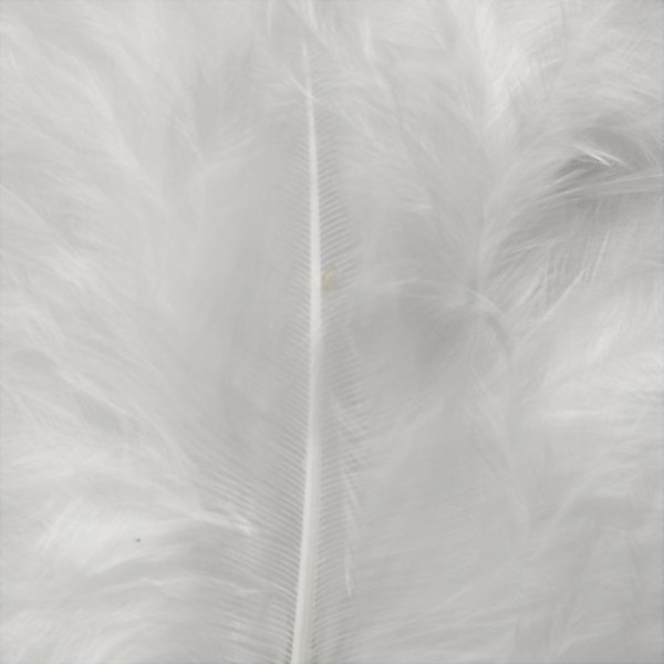 Duvet - blanc - 15 pcs