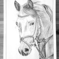 Image client Pinceau Filbert - plat - Taille 8
