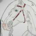 Image client Crayon de couleur Polychromos - 271 Warm Grey II