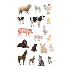 Aimants animaux de la ferme 3,5-7 cm - 18 pièces Aimants animaux de la ferme 3,5-7 cm - 18 pièces